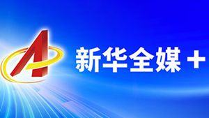 “沙德尔”停止编号 强降雨影响继续